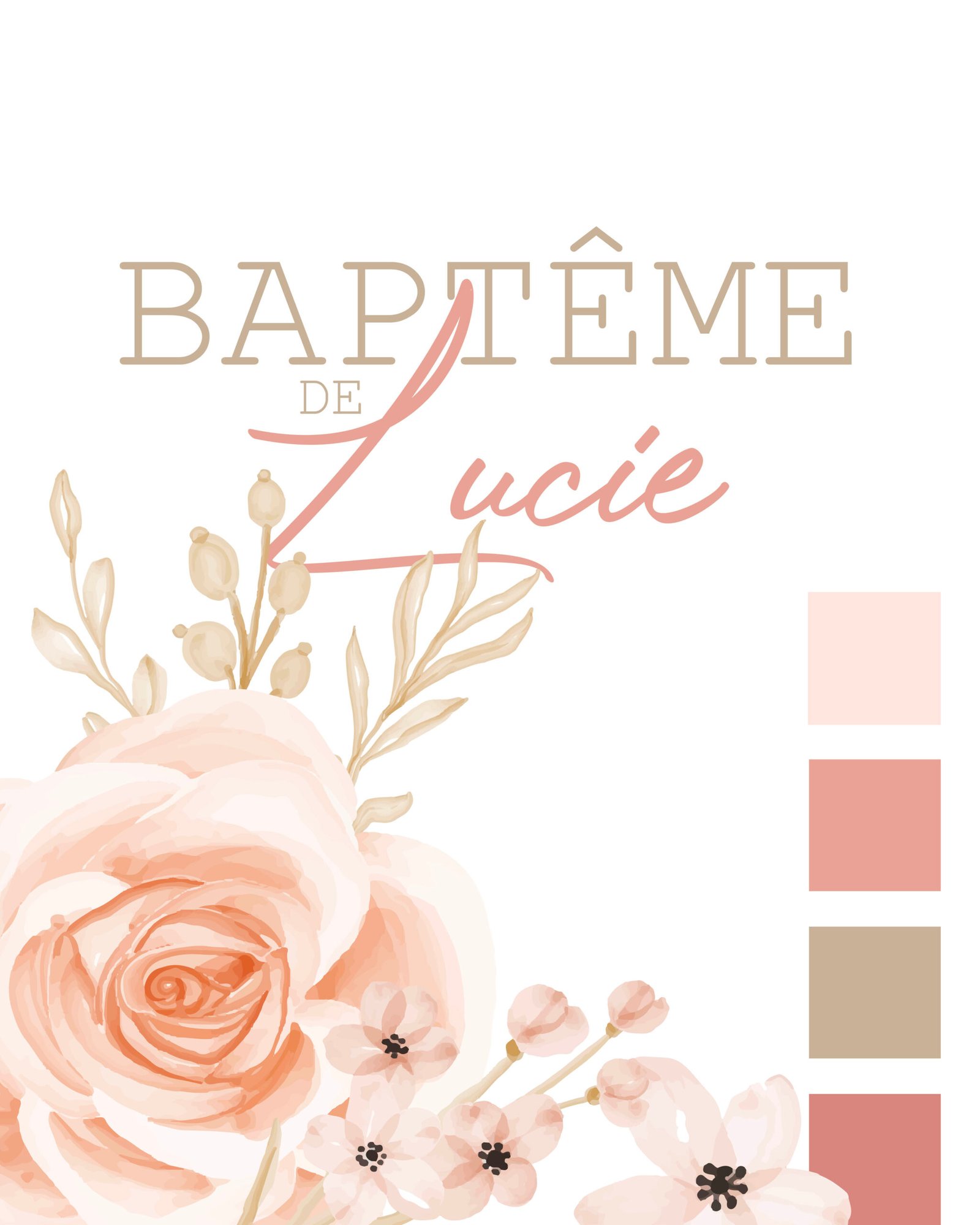Projet Lucie 2